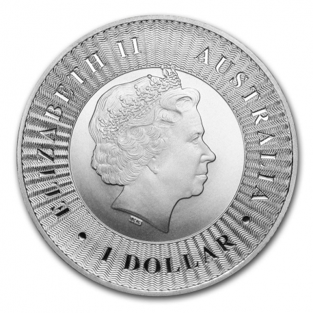 Nugget en Argent 1 Oz (25 minimum)