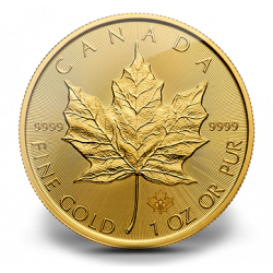 Échangez votre KILO d'or contre 31 Maple Leaf 1 Once (coût 3.6%)