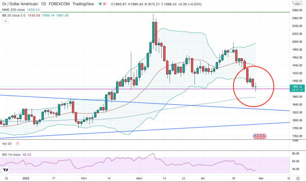 Dollar puts pressure on gold